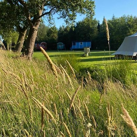 Pipowagens Bij Pannenkoekenrestaurant & Camping De Koppenjan 'Een Uniek Verblijf Met Kinderspeelboerderij' Jubbega-Schurega 外观 照片