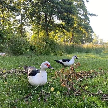 Pipowagens Bij Pannenkoekenrestaurant & Camping De Koppenjan 'Een Uniek Verblijf Met Kinderspeelboerderij' Jubbega-Schurega 外观 照片