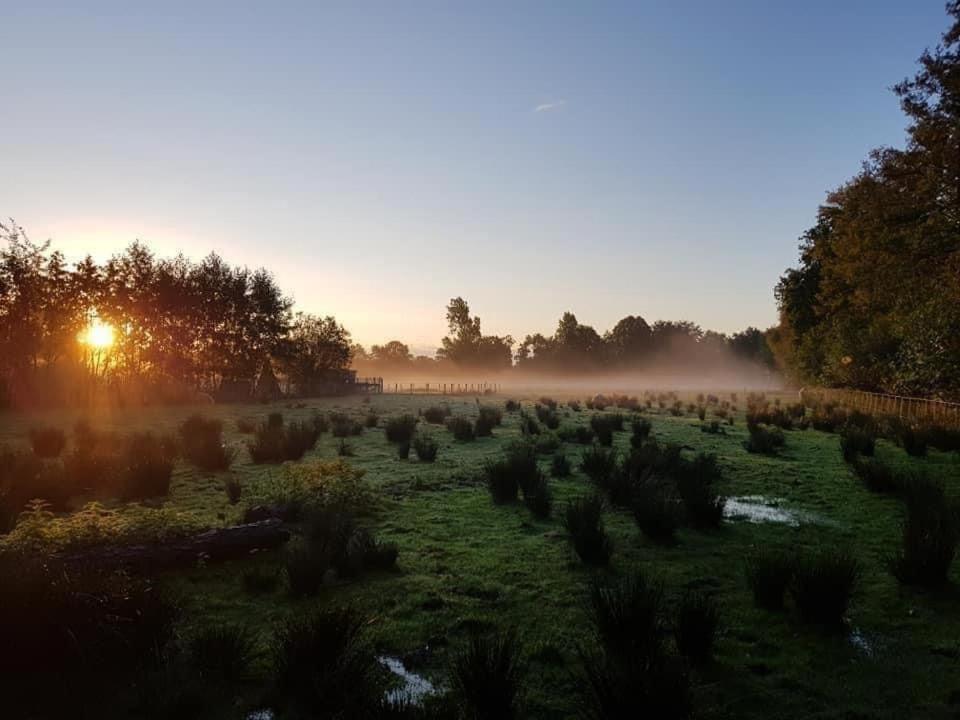 Pipowagens Bij Pannenkoekenrestaurant & Camping De Koppenjan 'Een Uniek Verblijf Met Kinderspeelboerderij' Jubbega-Schurega 外观 照片