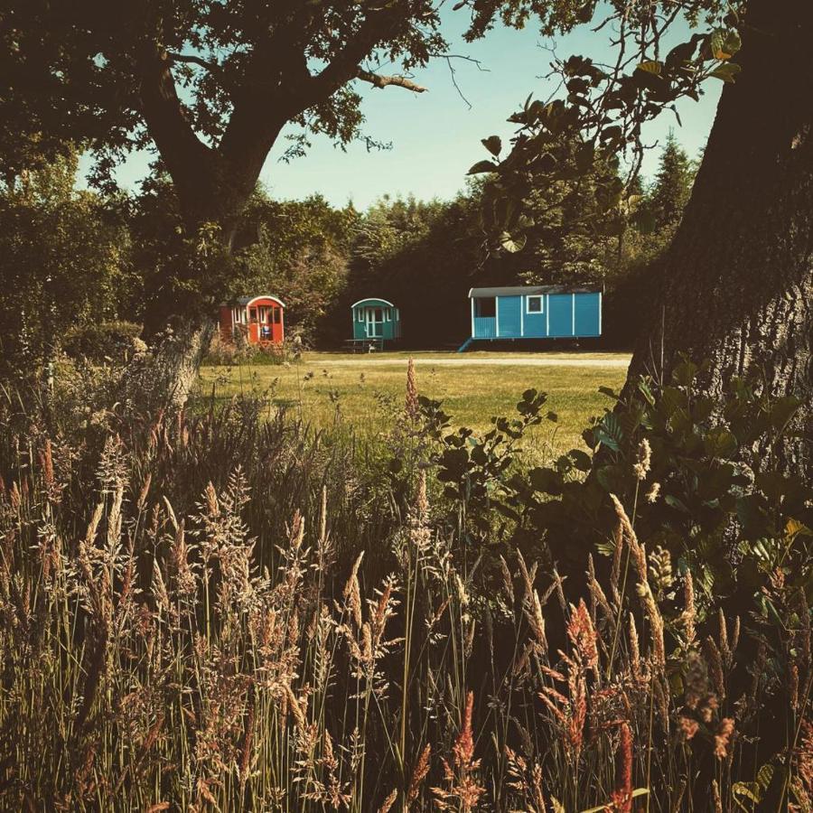 Pipowagens Bij Pannenkoekenrestaurant & Camping De Koppenjan 'Een Uniek Verblijf Met Kinderspeelboerderij' Jubbega-Schurega 外观 照片
