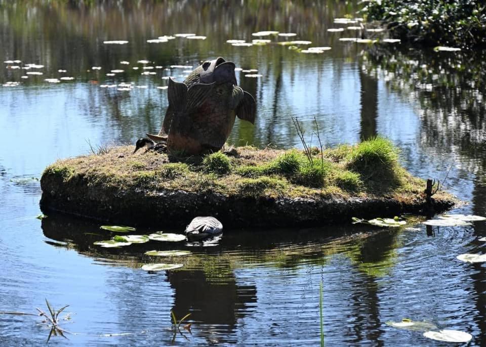 Pipowagens Bij Pannenkoekenrestaurant & Camping De Koppenjan 'Een Uniek Verblijf Met Kinderspeelboerderij' Jubbega-Schurega 外观 照片