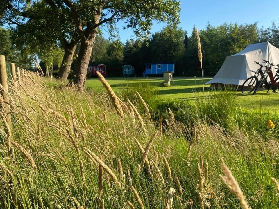 Pipowagens Bij Pannenkoekenrestaurant & Camping De Koppenjan 'Een Uniek Verblijf Met Kinderspeelboerderij' Jubbega-Schurega 外观 照片